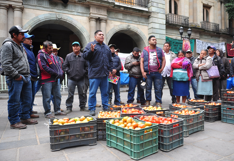 Tomateros de Oaxaca resienten pérdidas en Riberas | El Imparcial de Oaxaca