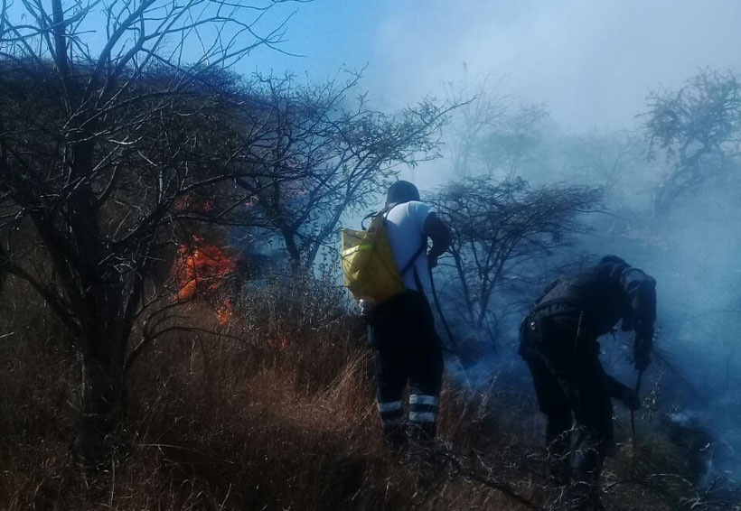 Se quema un cerro en Atzompa | El Imparcial de Oaxaca Se quema un cerro en Atzompa | El Imparcial de Oaxaca
