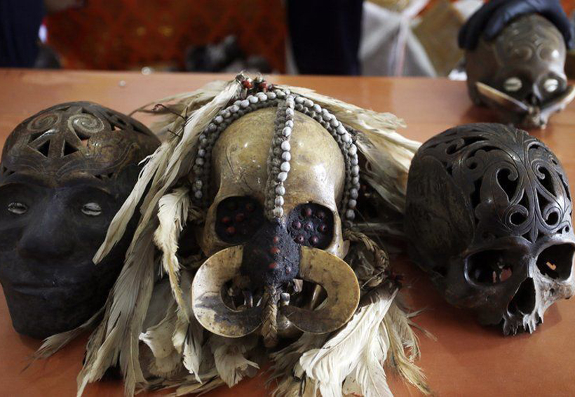 Frustran contrabando de cráneos ornamentales en Indonesia | El Imparcial de Oaxaca
