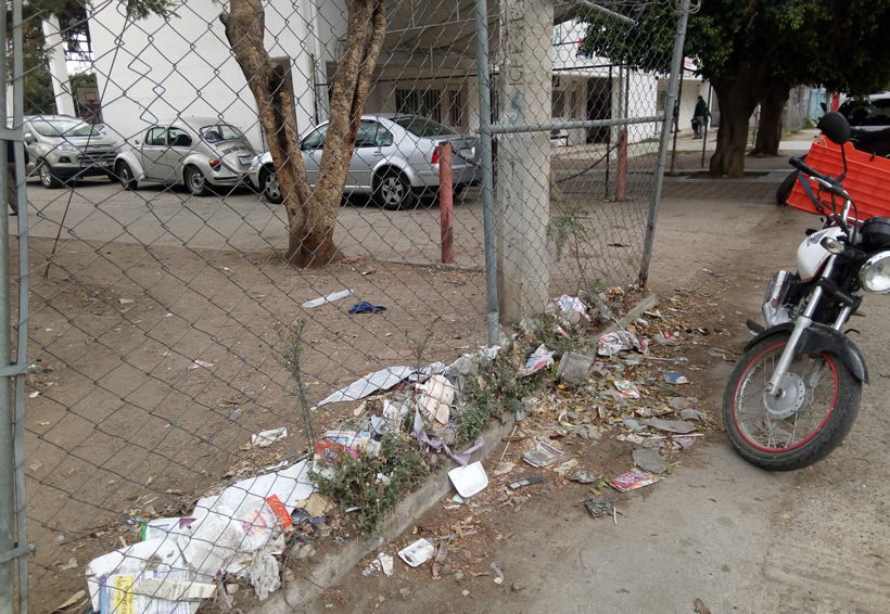 Denuncian total  abandono en la  agencia de Candiani, Oaxaca | El Imparcial de Oaxaca