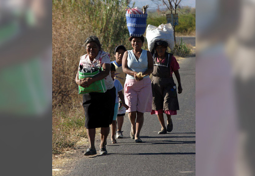 Sin servicios básicos más de 1.7 millones de indígenas en Oaxaca: LARP | El Imparcial de Oaxaca