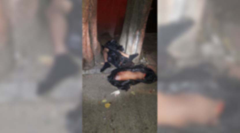 Aparecen restos humanos en la agencia de Cinco Señores, Oaxaca