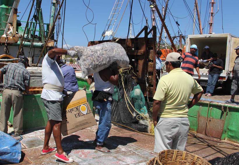 Pesca en Salina Cruz al al borde del colapso