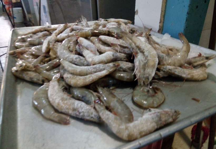 Se mantienen los  precios del pescado en Oaxaca