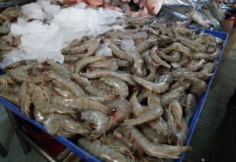 Se mantienen los  precios del pescado en Oaxaca