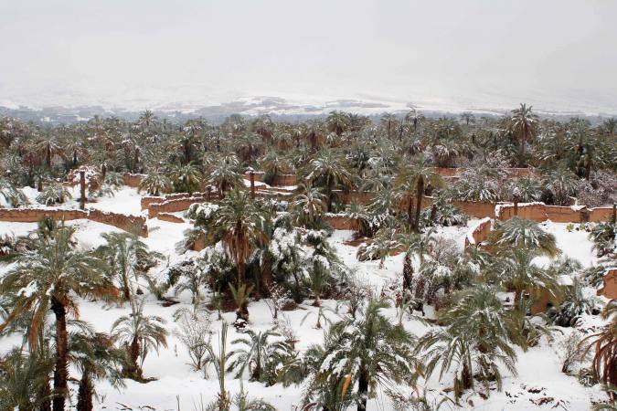 Nevadas inesperadas en el desierto de Marruecos | El Imparcial de Oaxaca