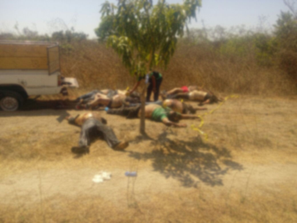 Masacre; Aparecen ocho cuerpos en paraje de Zanatepec, Oaxaca | El Imparcial de Oaxaca