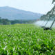 Agroparque estará listo  en diciembre: Economía