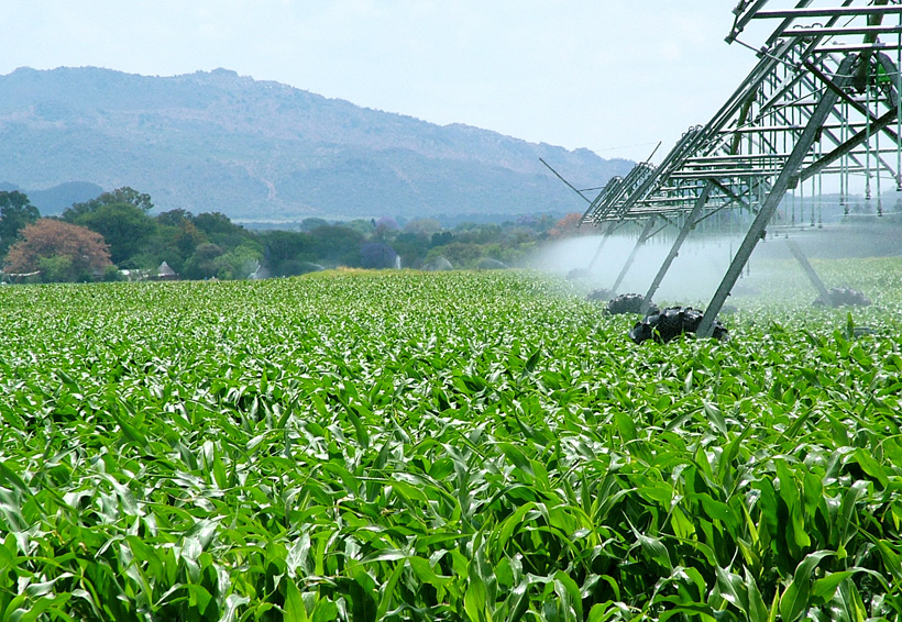 Agroparque estará listo  en diciembre: Economía | El Imparcial de Oaxaca