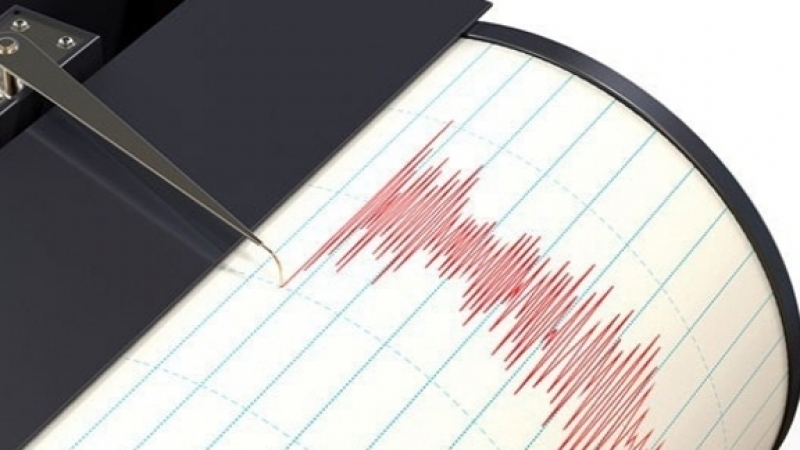 Se registra sismo de magnitud preliminar 5.5 en Oaxaca | El Imparcial de Oaxaca