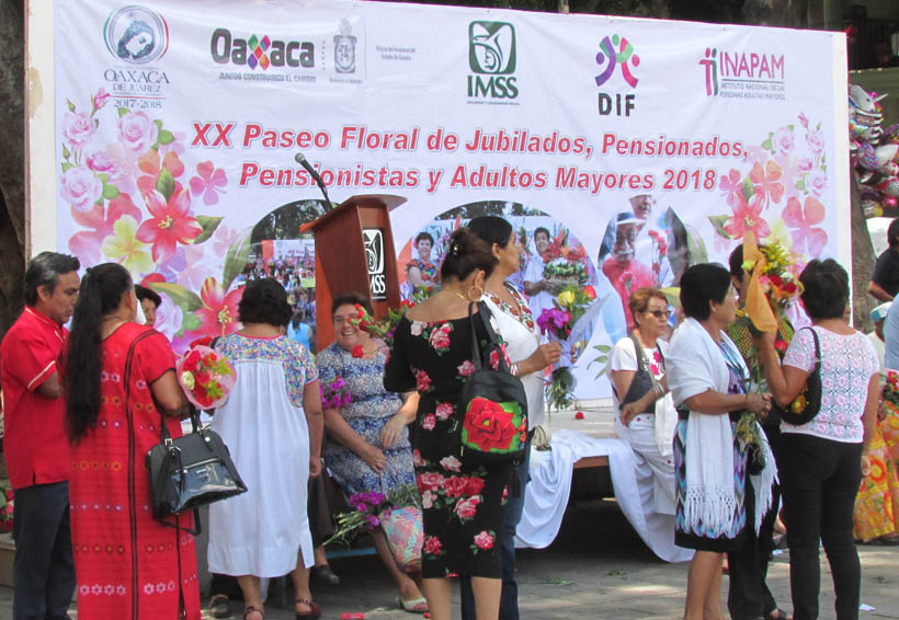 Celebran en Oaxaca bajo “El Laurel “ | El Imparcial de Oaxaca