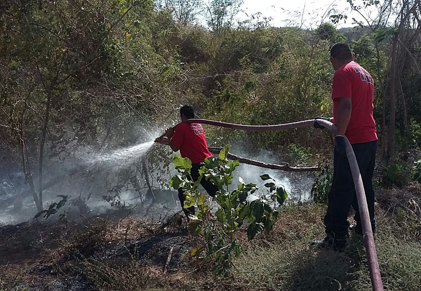 Combaten Bomberos otro incendio  forestal, ahora en La Herradura