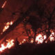 Incontenible, incendio en la Sierra Juárez de Oaxaca
