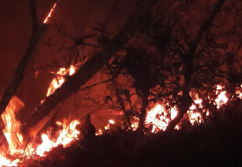 Incontenible, incendio en la Sierra Juárez de Oaxaca | El Imparcial de Oaxaca