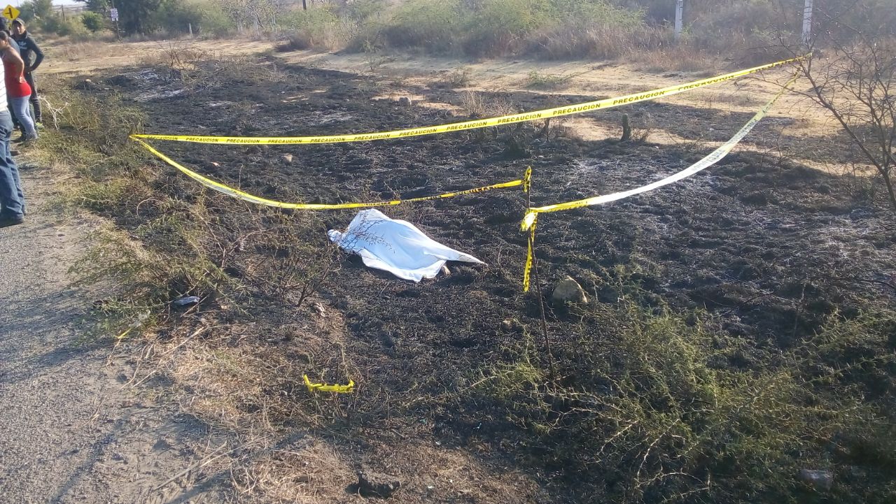 Embestida mortal en el tramo Ejutla-Ocotlán, Oaxaca | El Imparcial de Oaxaca