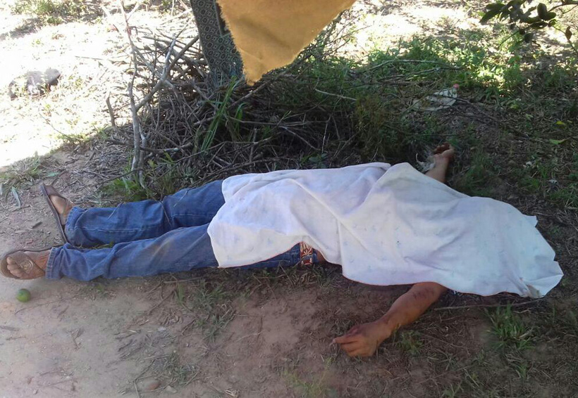 Encuentran cuerpo baleado en San Juan Cotzocón, Oaxaca | El Imparcial de Oaxaca