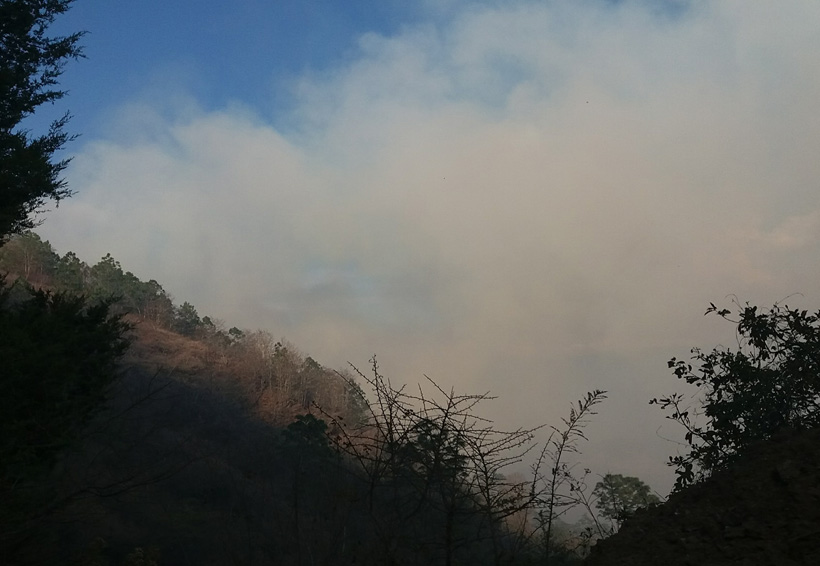 Incendio en la Sierra Juárez de Oaxaca afectó extensa área boscosa | El Imparcial de Oaxaca
