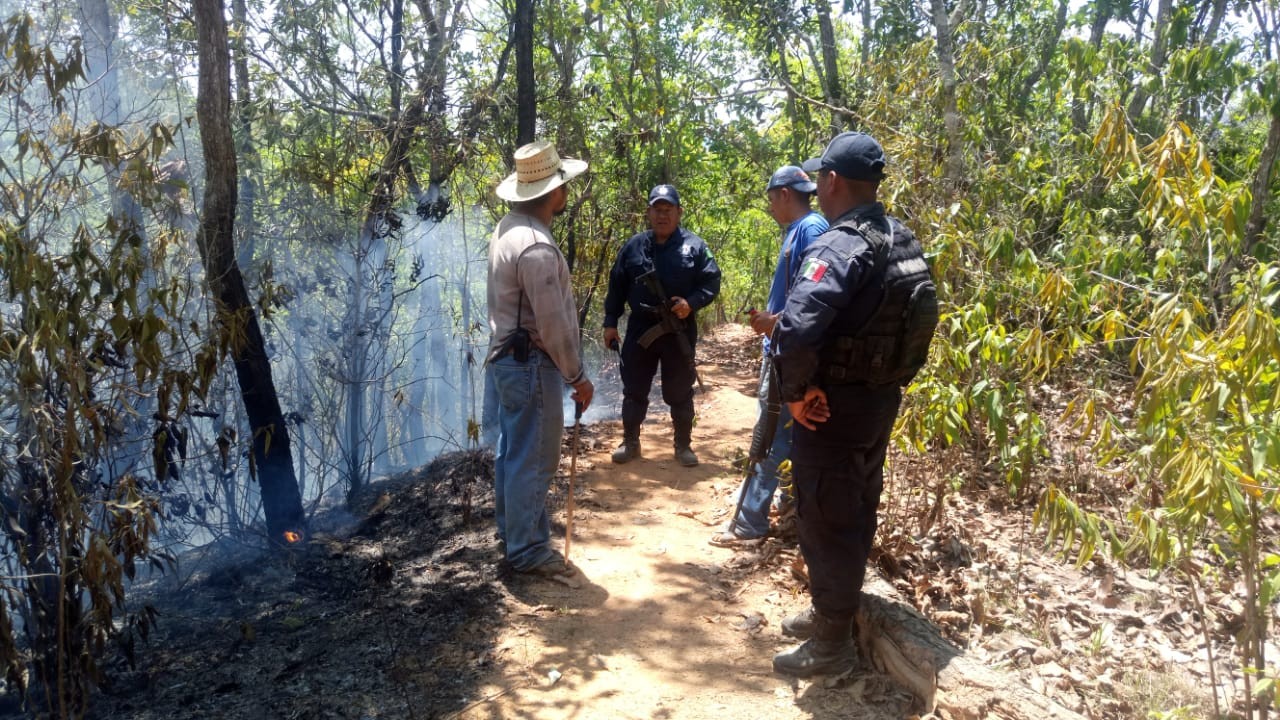 Vuelven al redil brigadistas tras sofocar incendio
