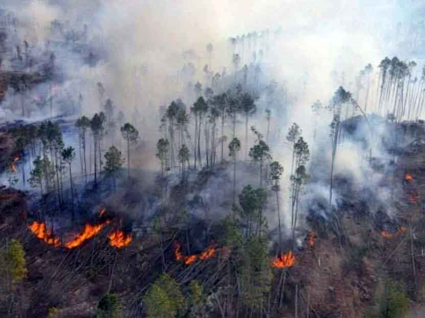 Alarma incendio en la Mixteca Alta de Oaxaca | El Imparcial de Oaxaca