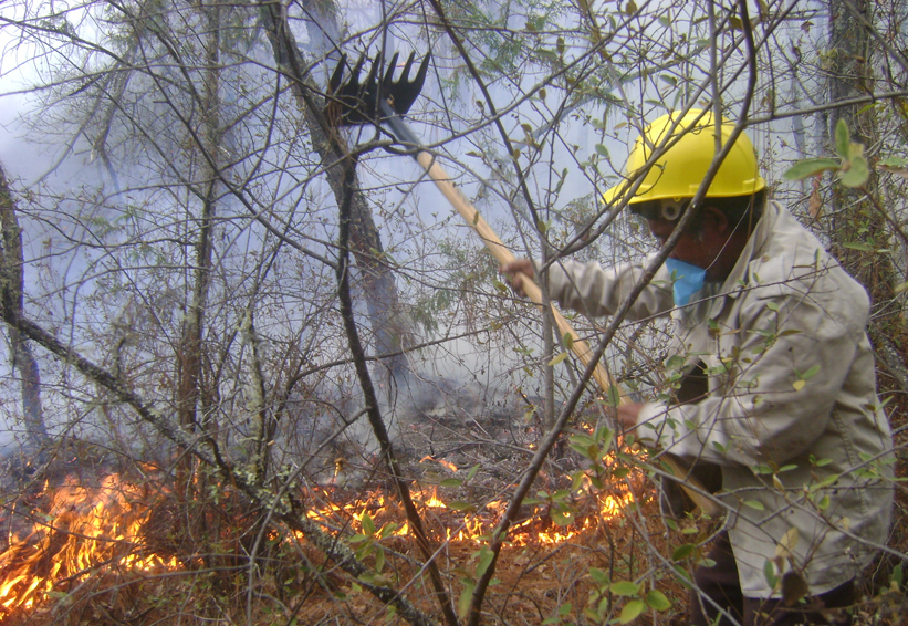 Incendios forestales  devastan arbolado  en la Mixteca de Oaxaca | El Imparcial de Oaxaca