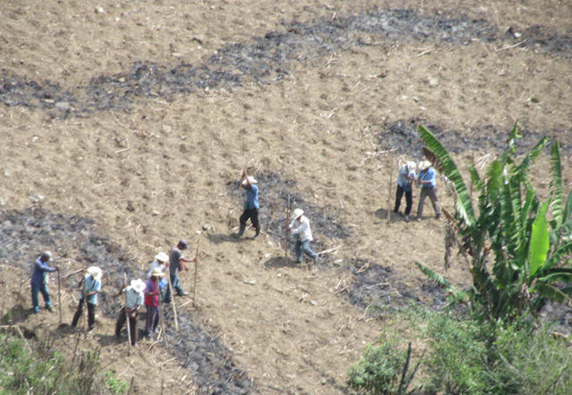 Mazatecos comienzan con siembra de maíz | El Imparcial de Oaxaca