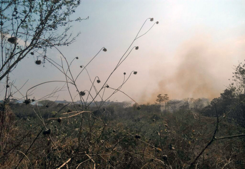 Se incendia cerro  en Hacienda Vieja, Oaxaca