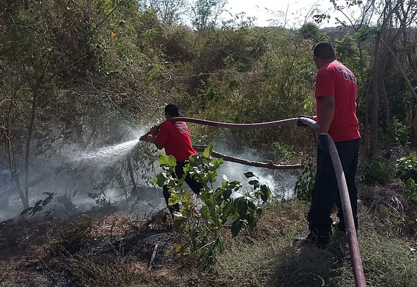 Se incendia cerro  en Hacienda Vieja, Oaxaca