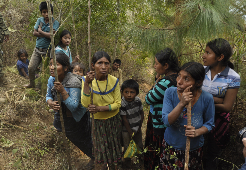 Utilizan a menores en siembra de amapola y mariguana en Oaxaca | El Imparcial de Oaxaca