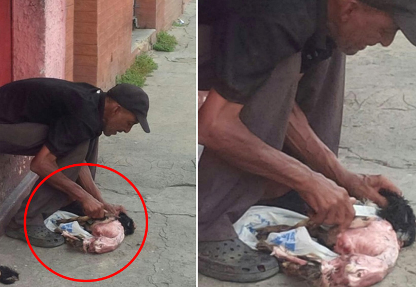 Hombre devora perro por hambre en Venezuela | El Imparcial de Oaxaca