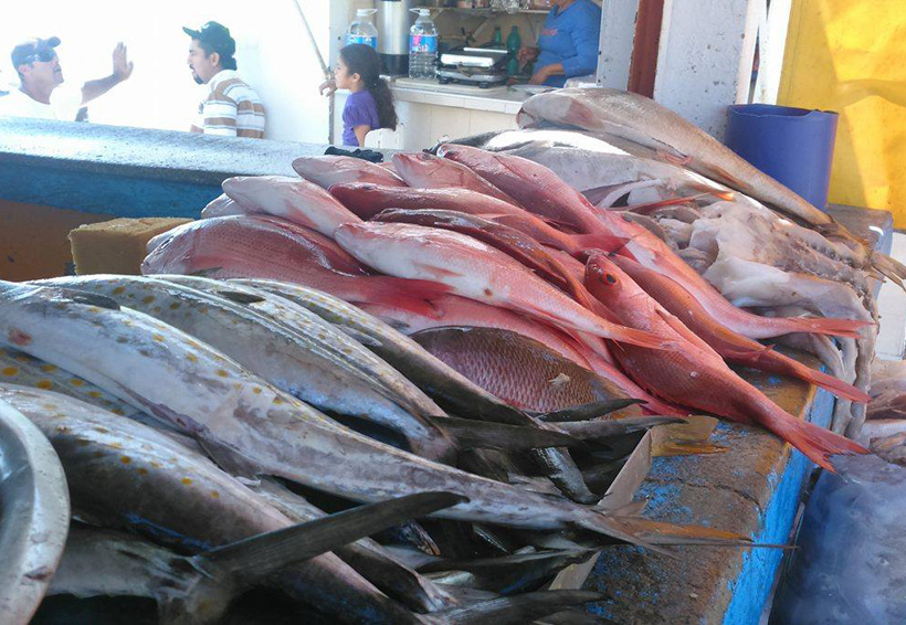 Pescados y mariscos a bajo costo en colonias de Oaxaca | El Imparcial de Oaxaca
