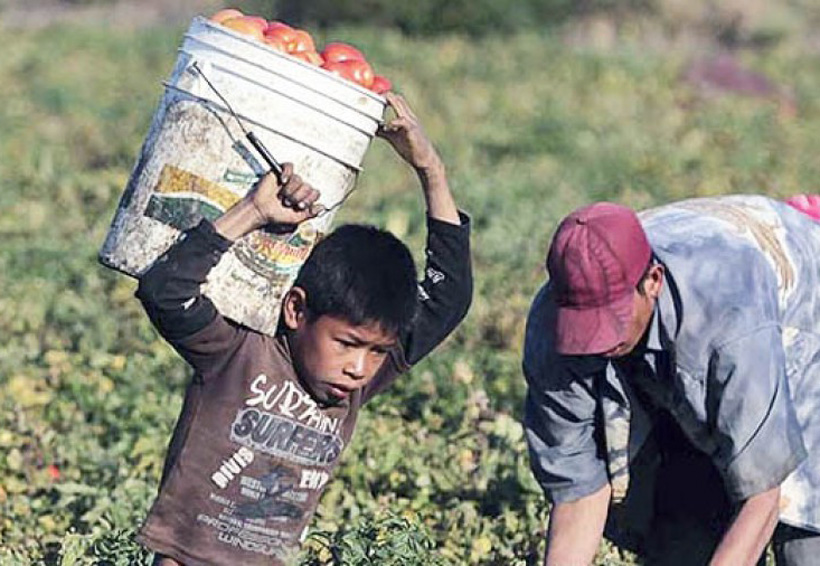 Necesario, abatir el trabajo infantil en Oaxaca | El Imparcial de Oaxaca
