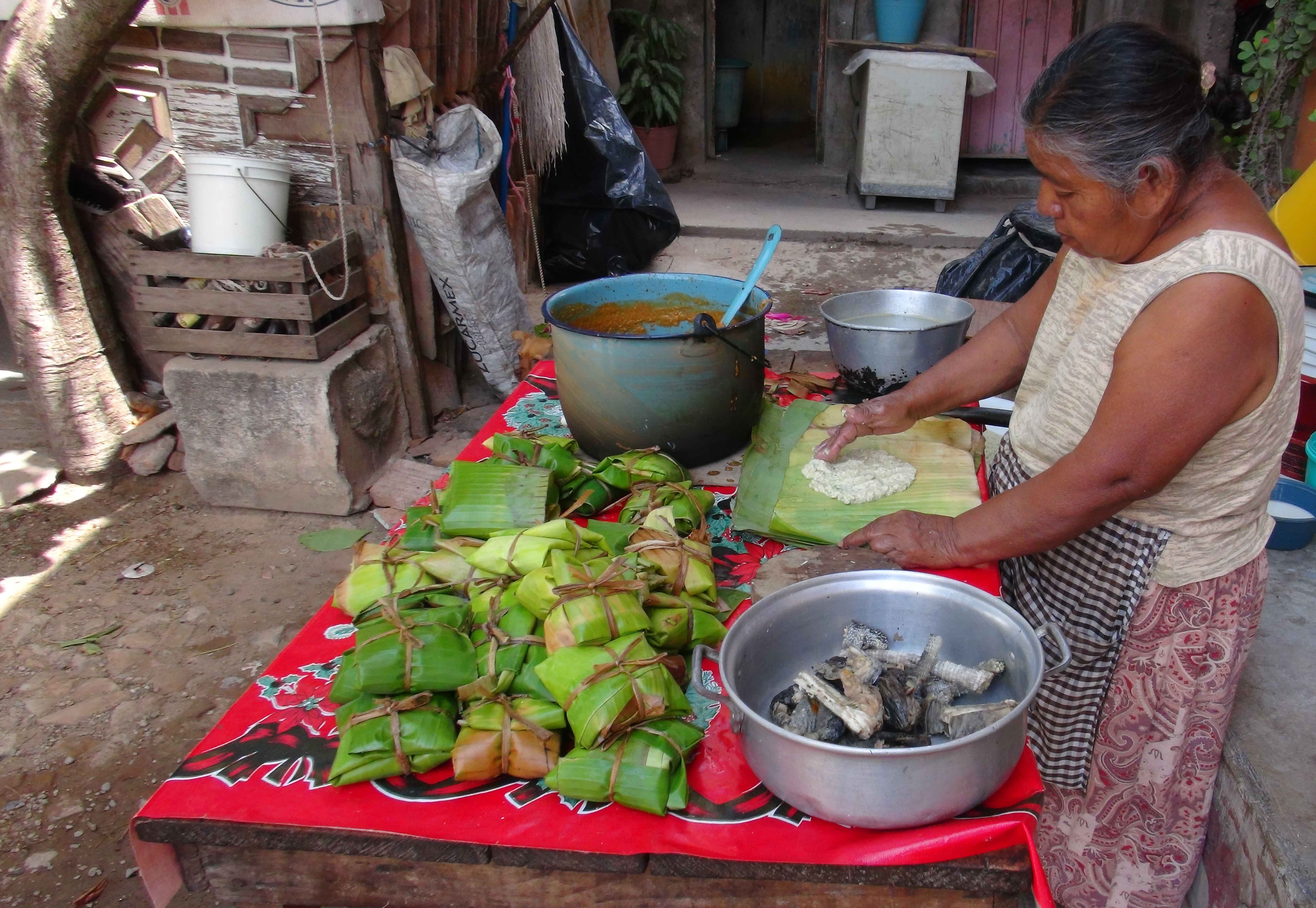 Iguana, manjar en tamal en el Istmo de Tehuantepec