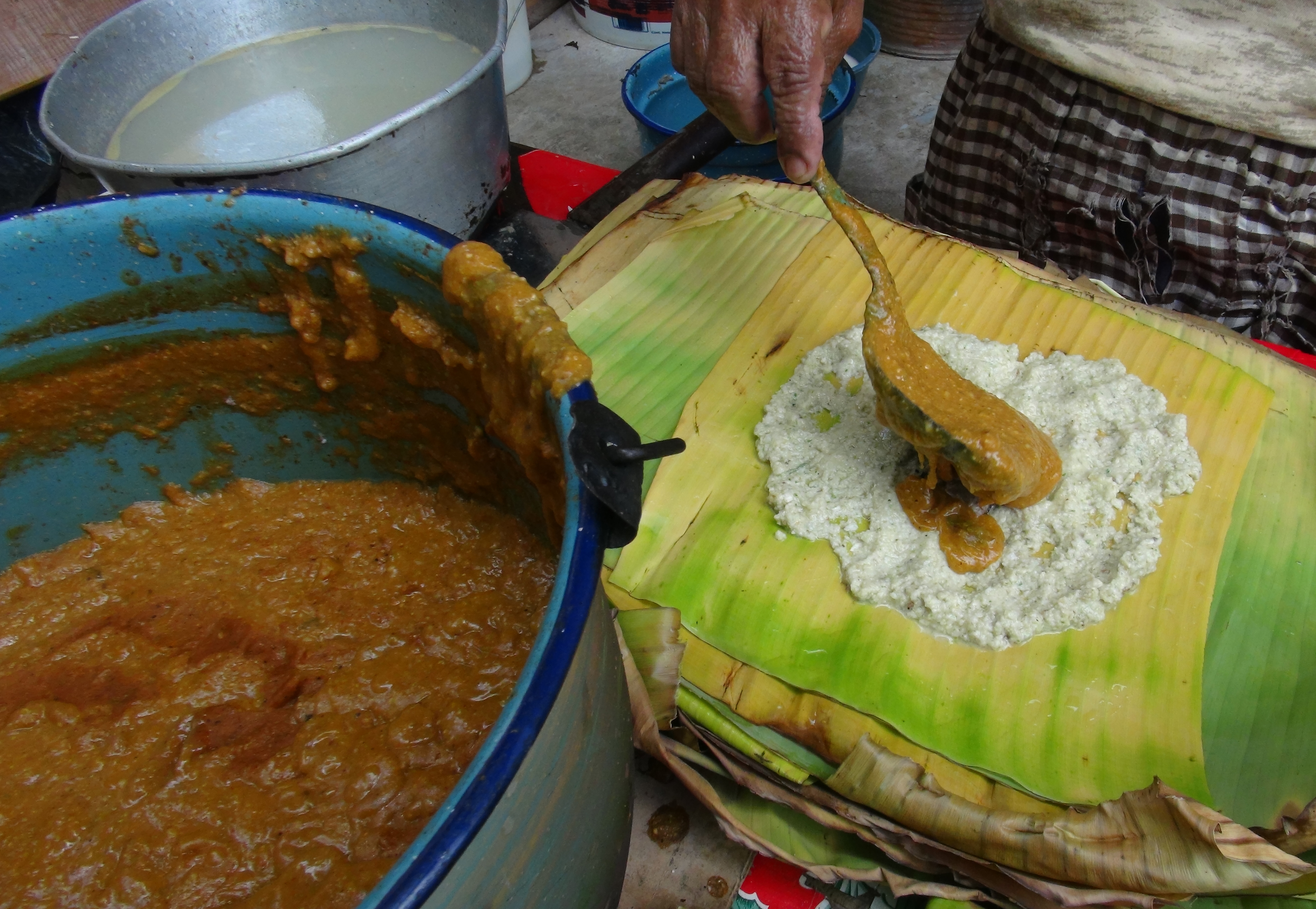Iguana, manjar en tamal en el Istmo de Tehuantepec