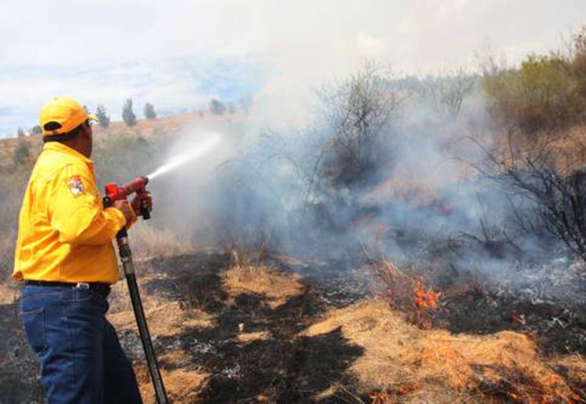 Vigilan municipios de Oaxaca que son propicios para incendios | El Imparcial de Oaxaca