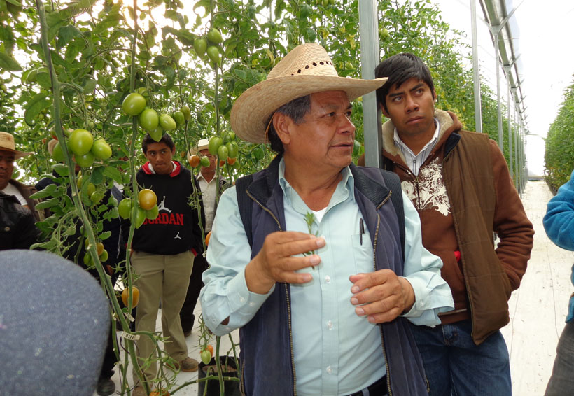 Analizarán propuesta  para incentivar la  agricultura en San Miguel Tulancingo, Oaxaca | El Imparcial de Oaxaca