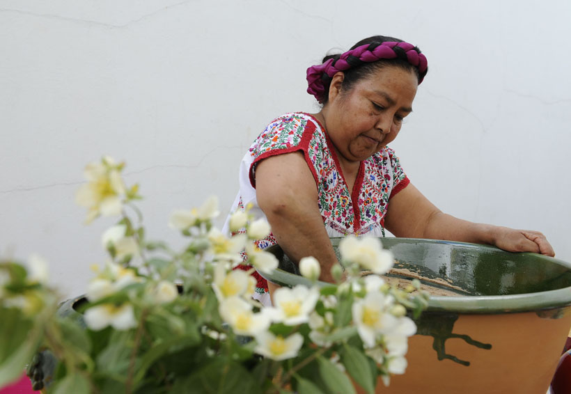 Cocineras tradicionales  difunden gastronomía de Oaxaca | El Imparcial de Oaxaca