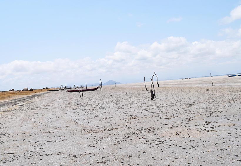 Descartan contaminación en playas del Istmo de Oaxaca