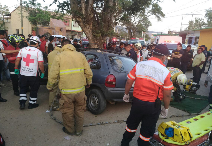 De frente contra un árbol; auto destrozado y tres heridos en Oaxaca