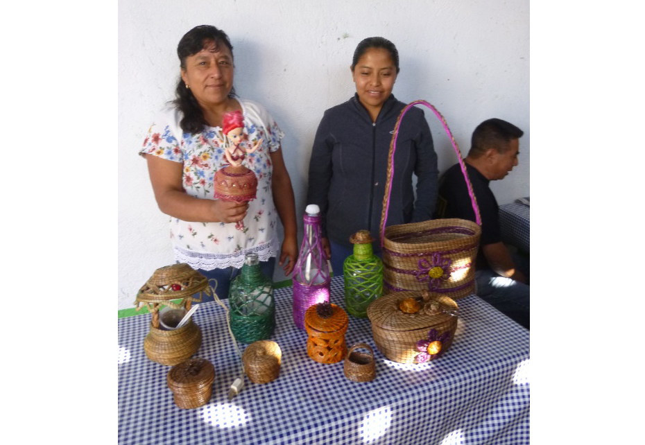 Buscan mujeres  consolidar proyecto  de artesanías de pino en Oaxaca | El Imparcial de Oaxaca