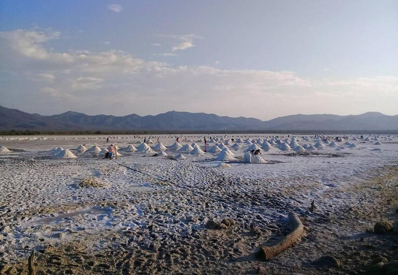 En Salinas del Marqués inicia la zafra de sal