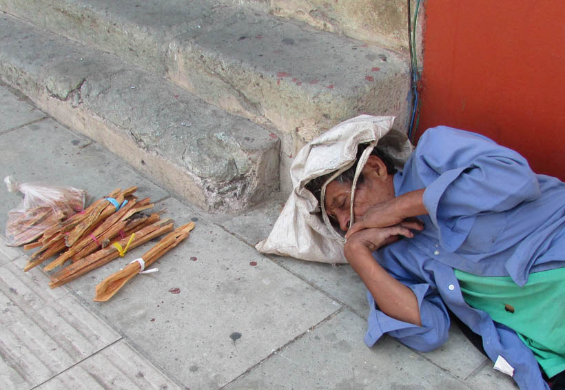 En la calle de Oaxaca vende “rajas”  de ocote para sobrevivir
