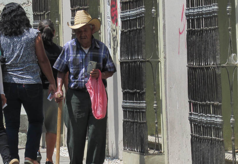 En la calle de Oaxaca vende “rajas”  de ocote para sobrevivir