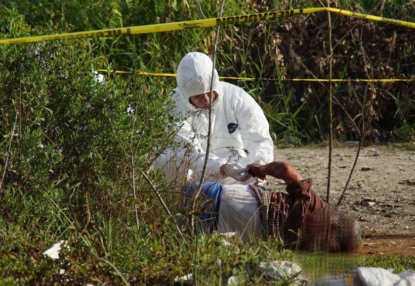 Encuentran cuerpo degollado y mutilado | El Imparcial de Oaxaca
