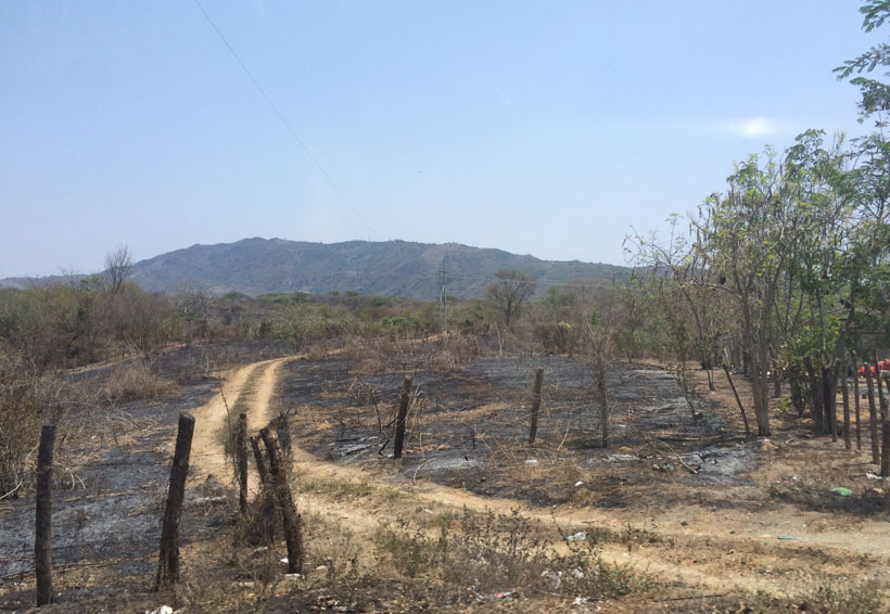 Incendios devastan a la Costa de Oaxaca