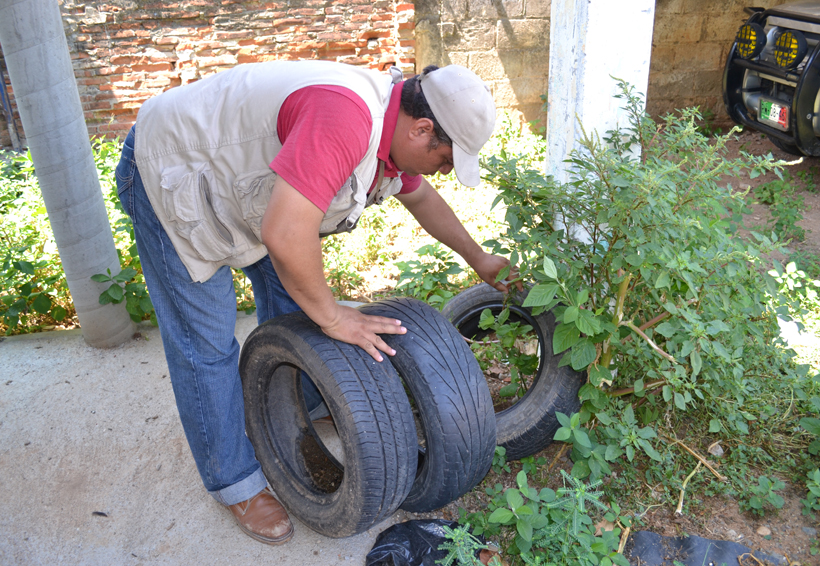 Luchan en el Istmo contra  enfermedades  transmitidas  por vector | El Imparcial de Oaxaca