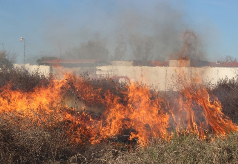 Más de 75 incendios  forestales de marzo en Tuxtepec, Oaxaca | El Imparcial de Oaxaca