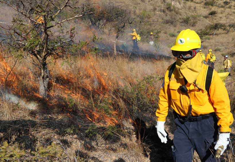 Inicia temporada difícil por incendios forestales en Oaxaca | El Imparcial de Oaxaca