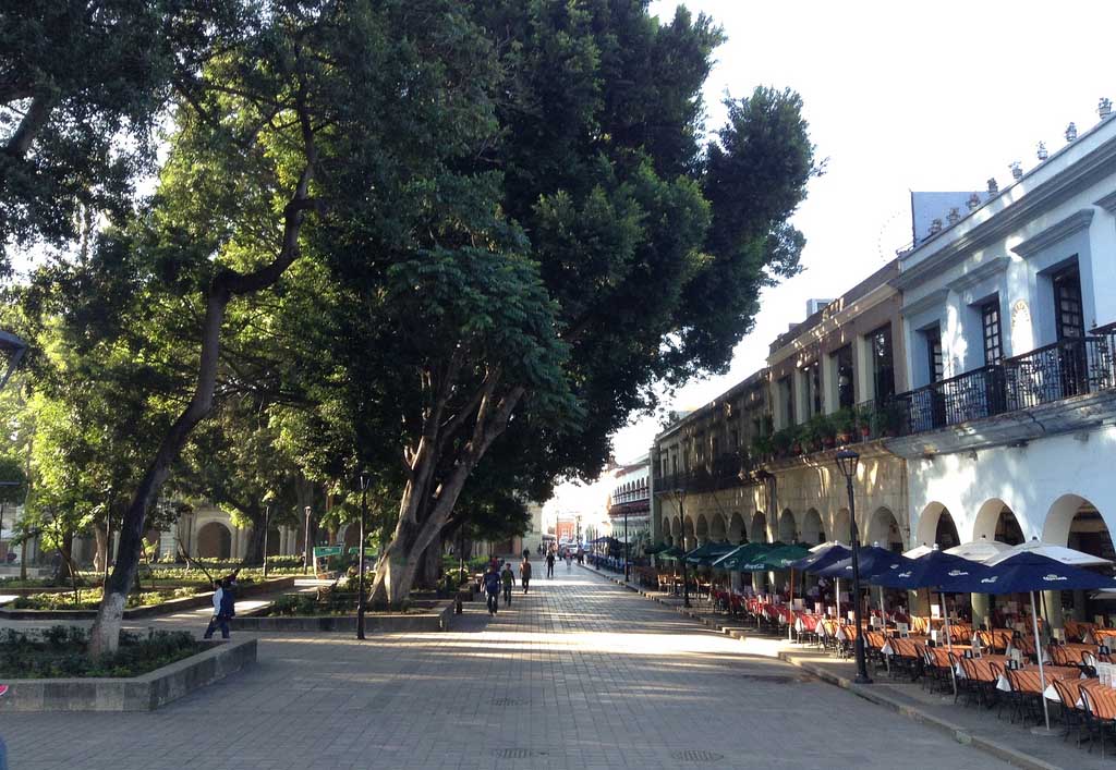 Oaxaca debe contar con más espacios verdes