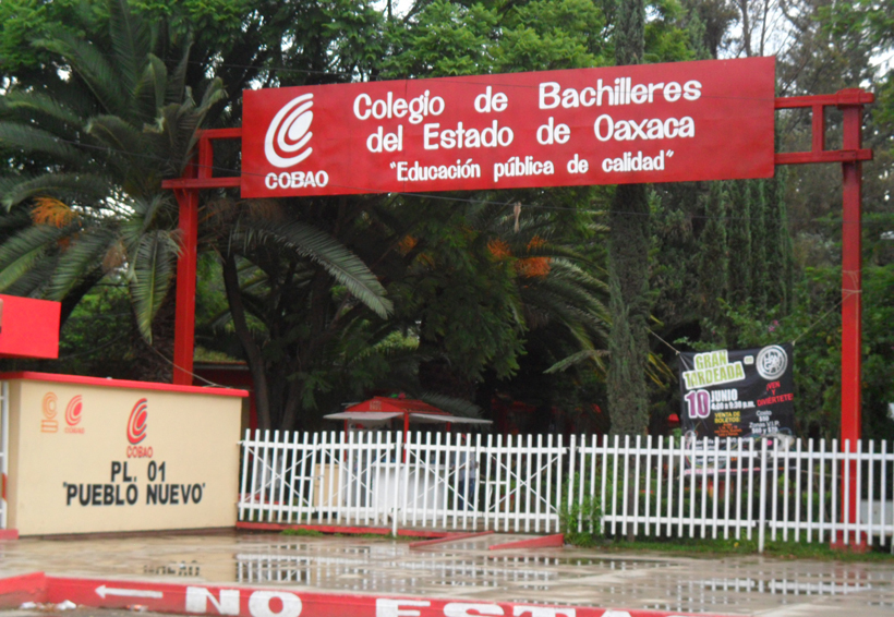 Joven busca representar a Oaxaca en certamen internacional de Biología | El Imparcial de Oaxaca