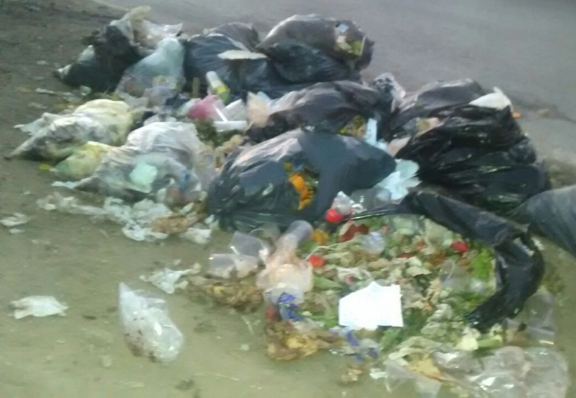 Se desborda la basura en las calles de Oaxaca
